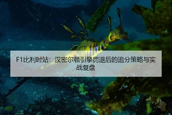 F1比利时站：汉密尔顿引擎罚退后的追分策略与实战复盘